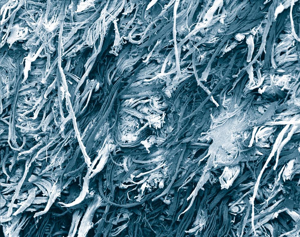 Tanned leather (reverse face)